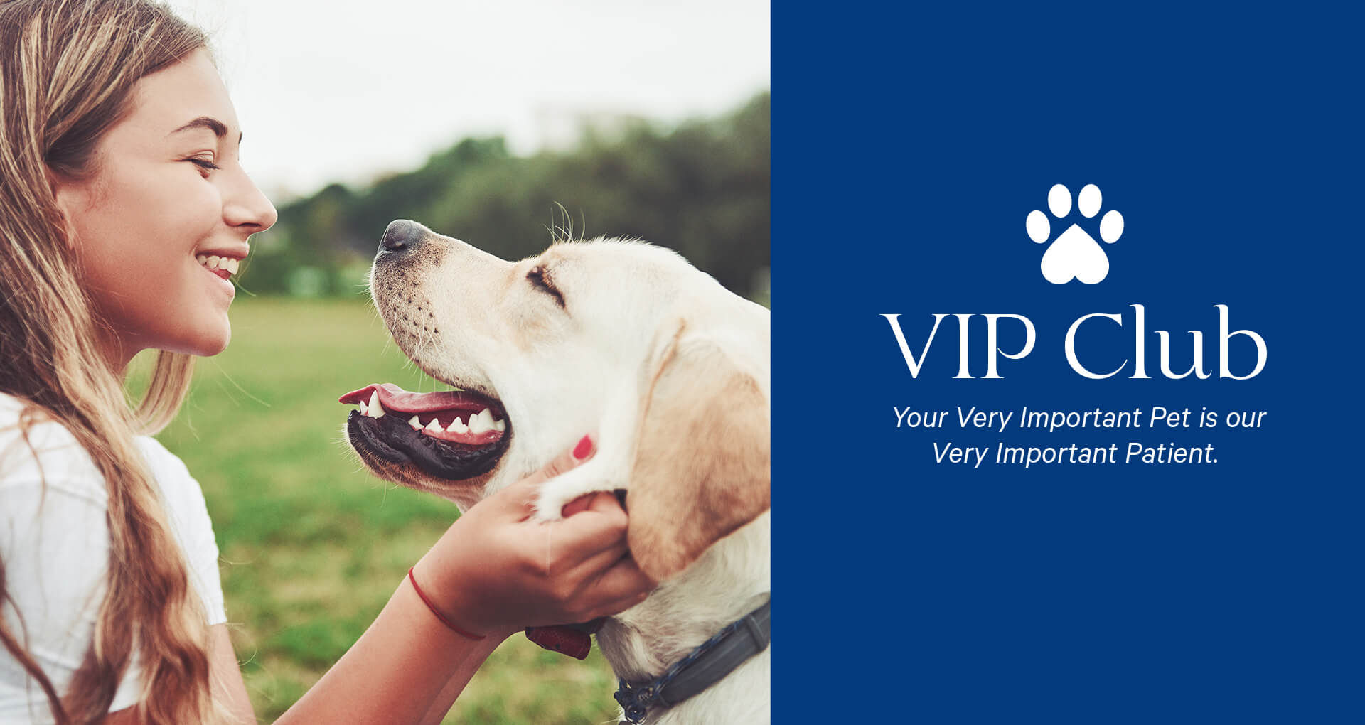 vip-club-barossa-veterinary-service