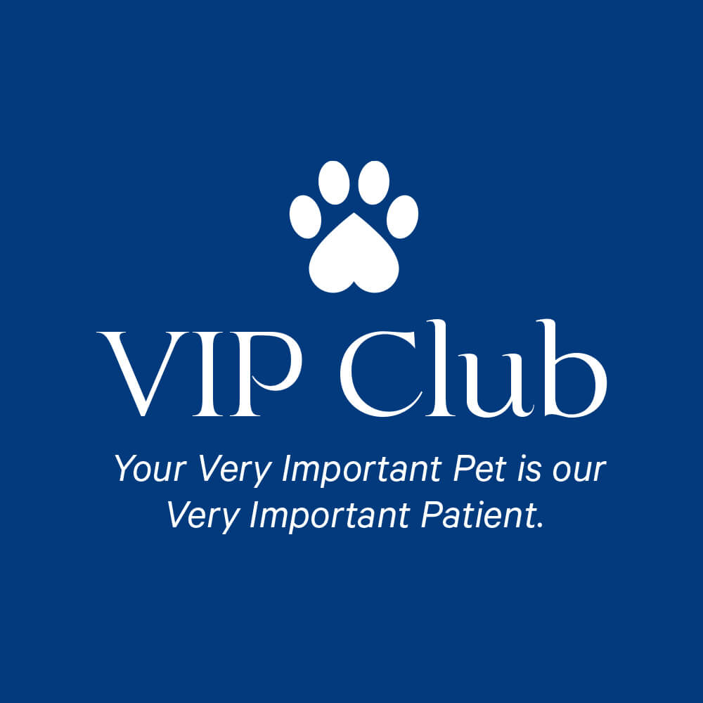 Barossa Veterinary Service - VIP Club